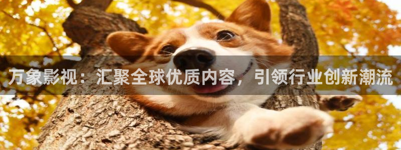 qiezi茄子视频