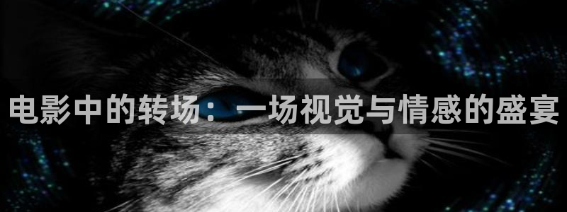 茄子视频
