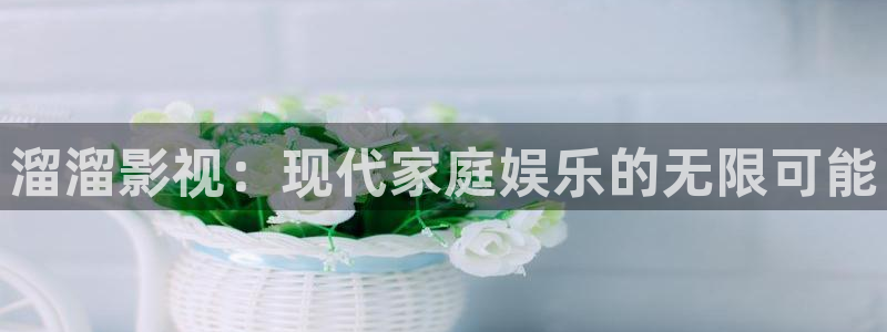 茄子视频视频