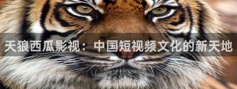 小优视频茄子视频