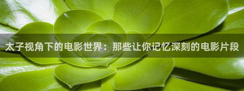 茄子视频www