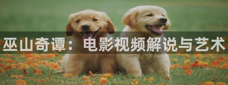 茄子视频一