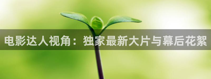 91茄子视频
