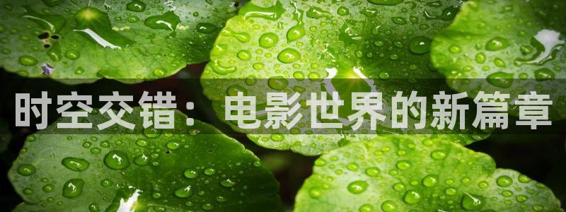 茄子视频18