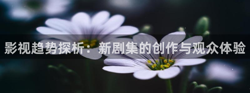 茄子视频?