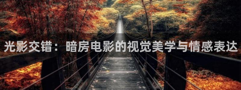 樱桃茄子视频