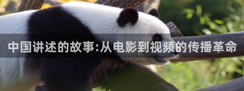 四虎茄子视频