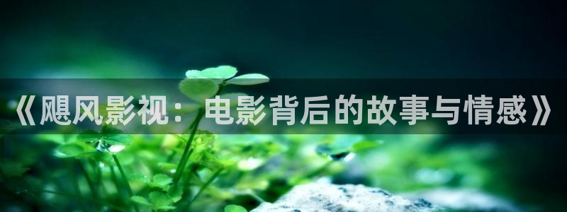 丝瓜茄子视频在线观看