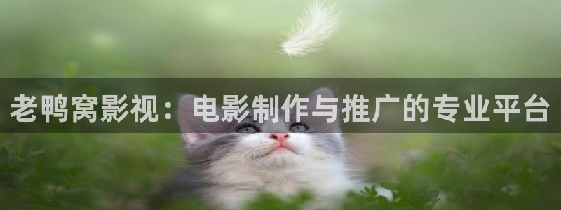 丝瓜茄子视频在线观看