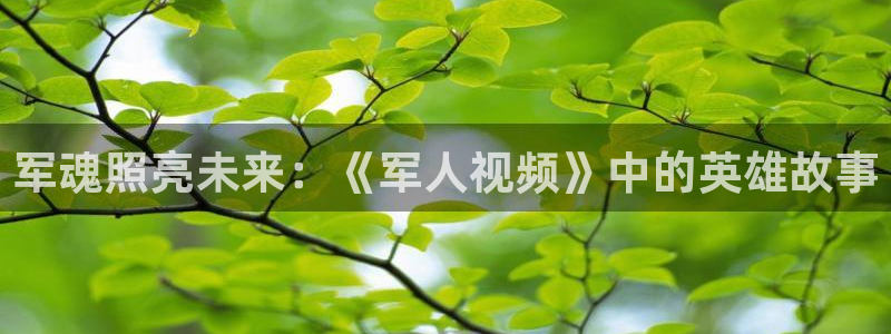 qiezi茄子视频
