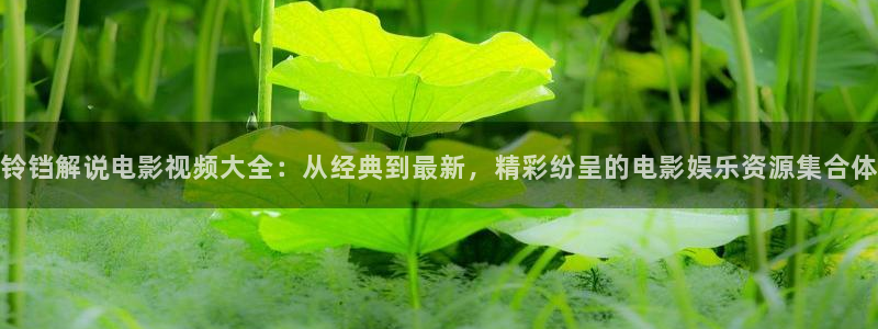 茄子视频色版