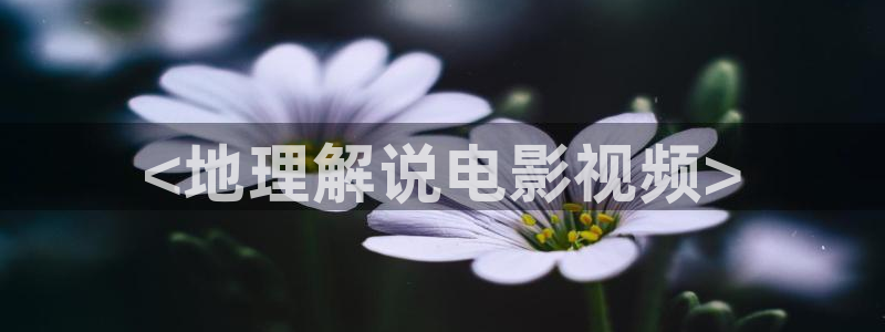 茄子视频一