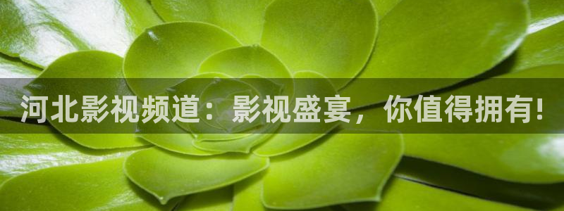 茄子视频www