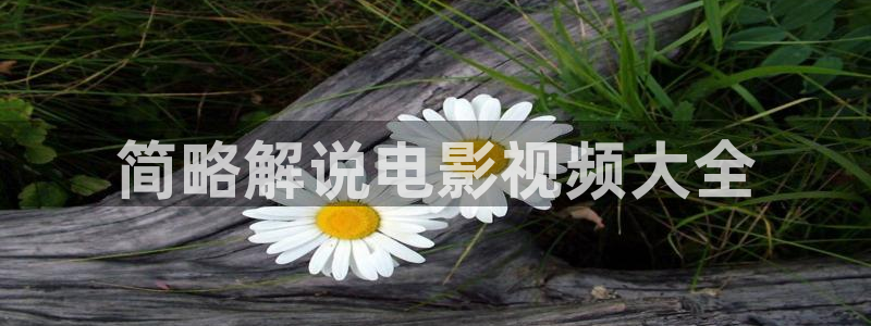 茄子视频视频