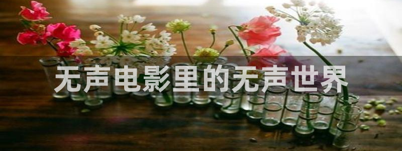 茄子视频 magnet