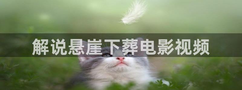 新闻图片