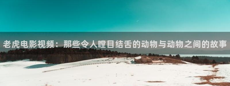 新闻图片