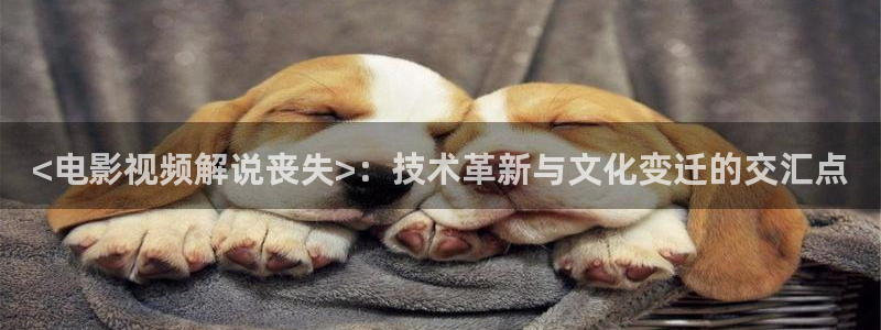 茄子视频www