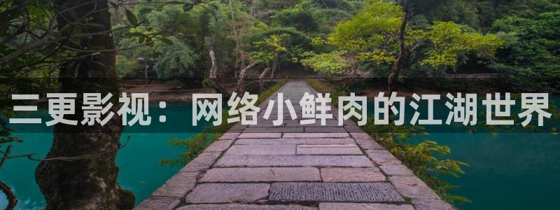 茄子视频了