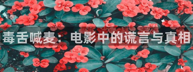 91茄子视频