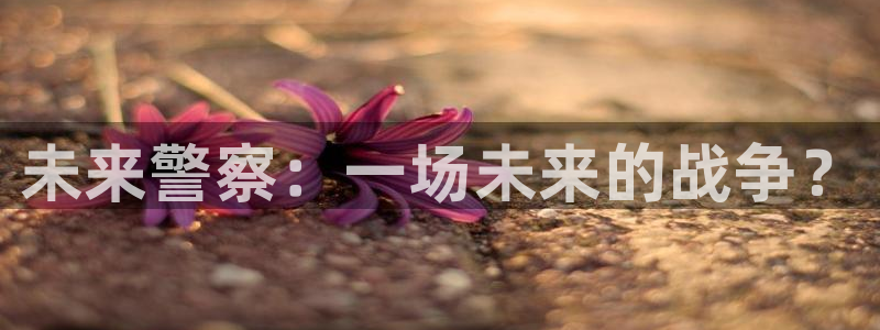 茄子视频视频