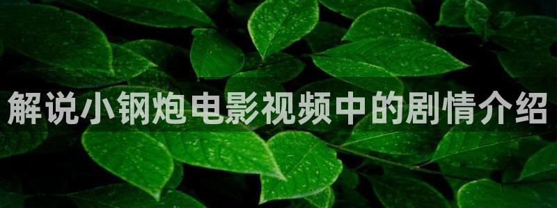 qiezi 茄子视频