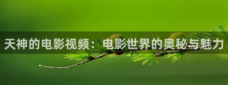 大茄子视频