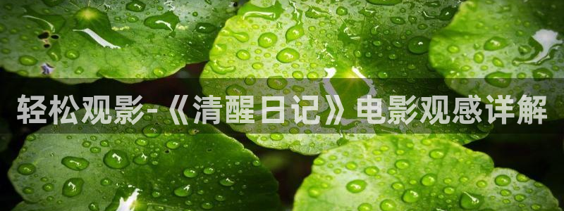 小优视频茄子视频