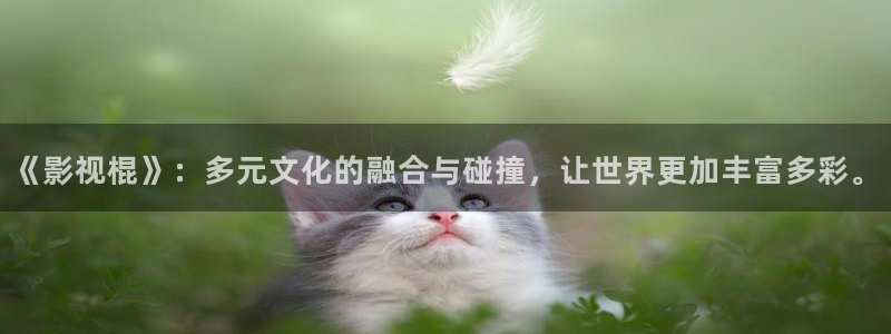 茄子视频www