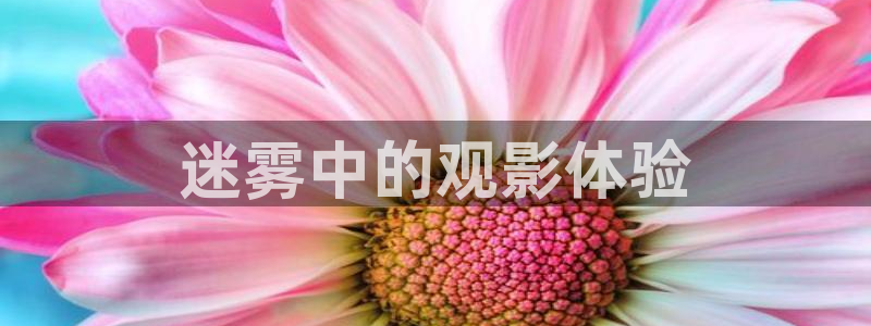 茄子视频?