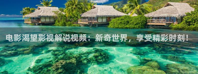 樱花视频茄子视频